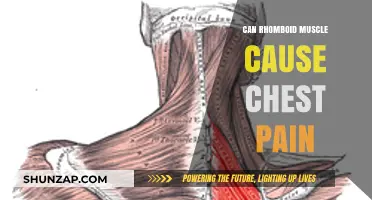Rhomboid Muscle and Chest Pain: Unraveling the Connection and Causes