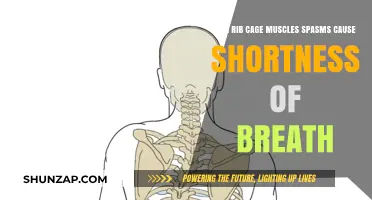Rib Cage Muscle Spasms: A Hidden Cause of Shortness of Breath?