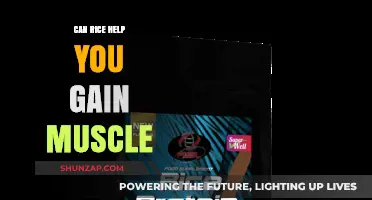Rice and Muscle Gain: Unlocking the Power of Carbs for Growth
