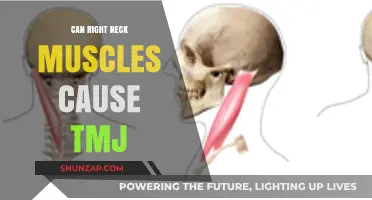 Neck Muscle Tension and TMJ: Understanding the Surprising Connection