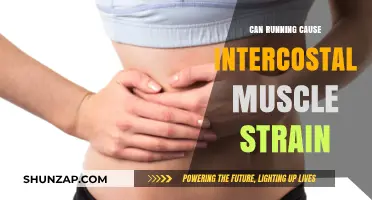 Can Running Lead to Intercostal Muscle Strain? Facts and Prevention