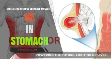 S1 Strain and Stomach Muscles: Understanding Potential Weakening Effects