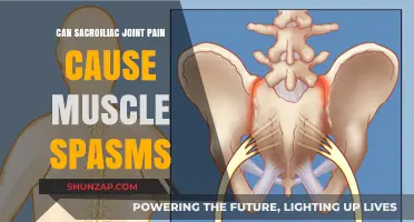 Sacroiliac Joint Pain and Muscle Spasms: Understanding the Connection
