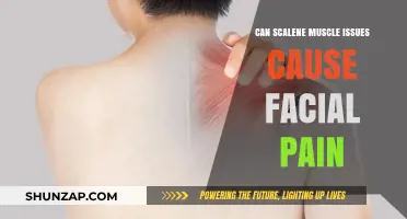 Scalene Muscle Dysfunction: A Hidden Cause of Facial Pain?