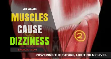 Scalene Muscles and Dizziness: Unraveling the Surprising Connection