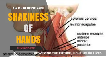 Scalene Muscles and Hand Tremors: Unraveling the Connection