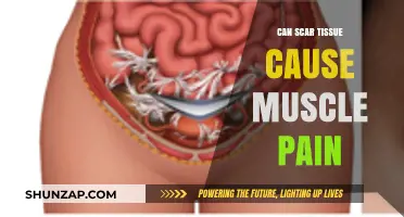 Scar Tissue and Muscle Pain: Understanding the Hidden Connection