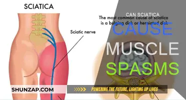 Sciatica and Muscle Spasms: What's the Connection?
