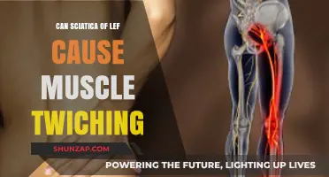Can Left Sciatica Trigger Muscle Twitching? Understanding the Connection