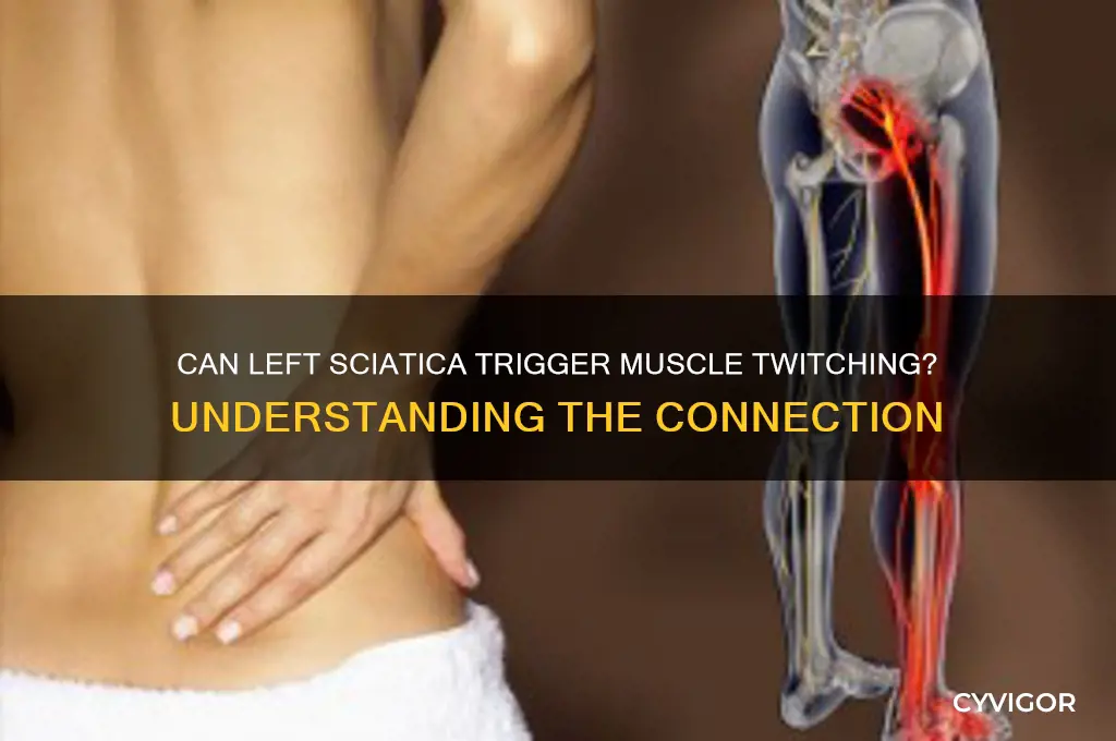 can sciatica of lef cause muscle twiching
