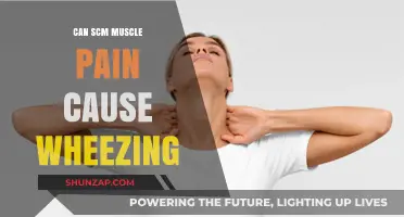 SCM Muscle Pain and Wheezing: Exploring the Surprising Connection