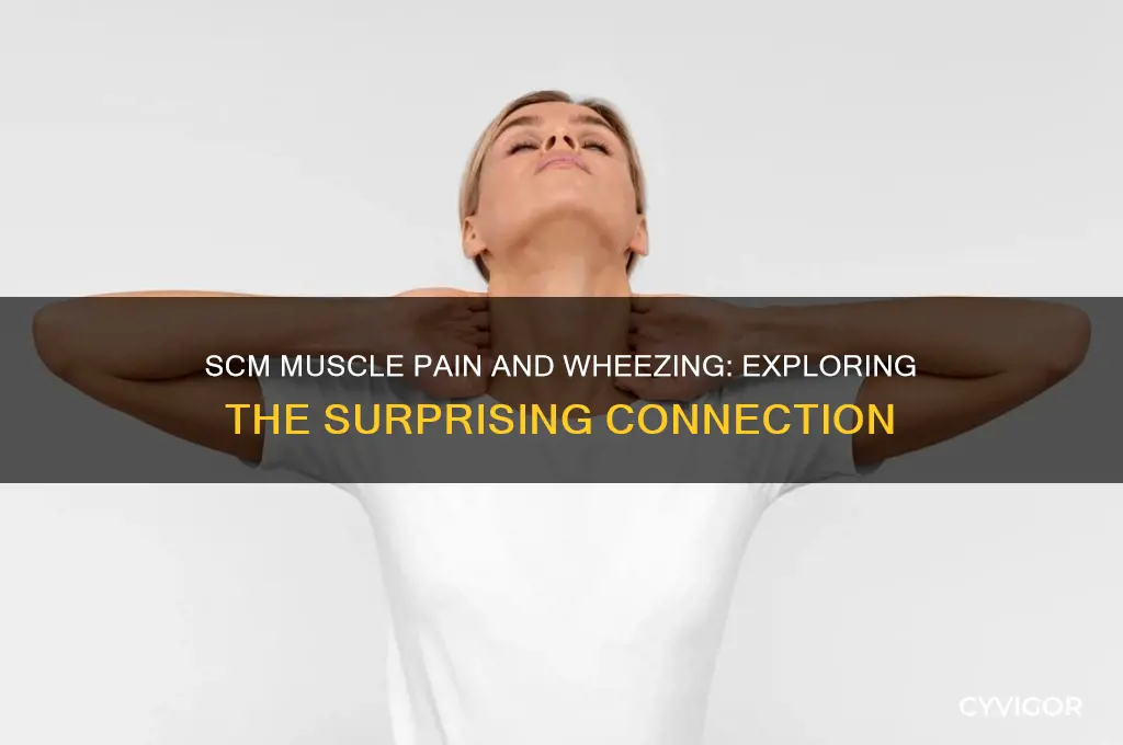 can scm muscle pain cause wheezing