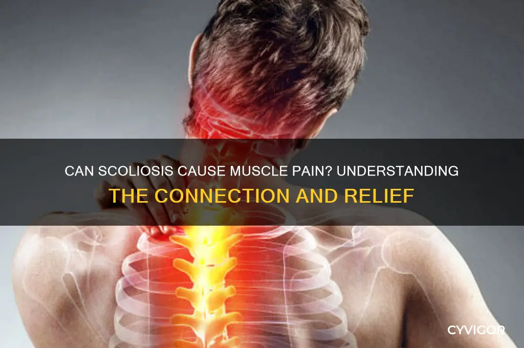 can scoliosis cause muscle pain