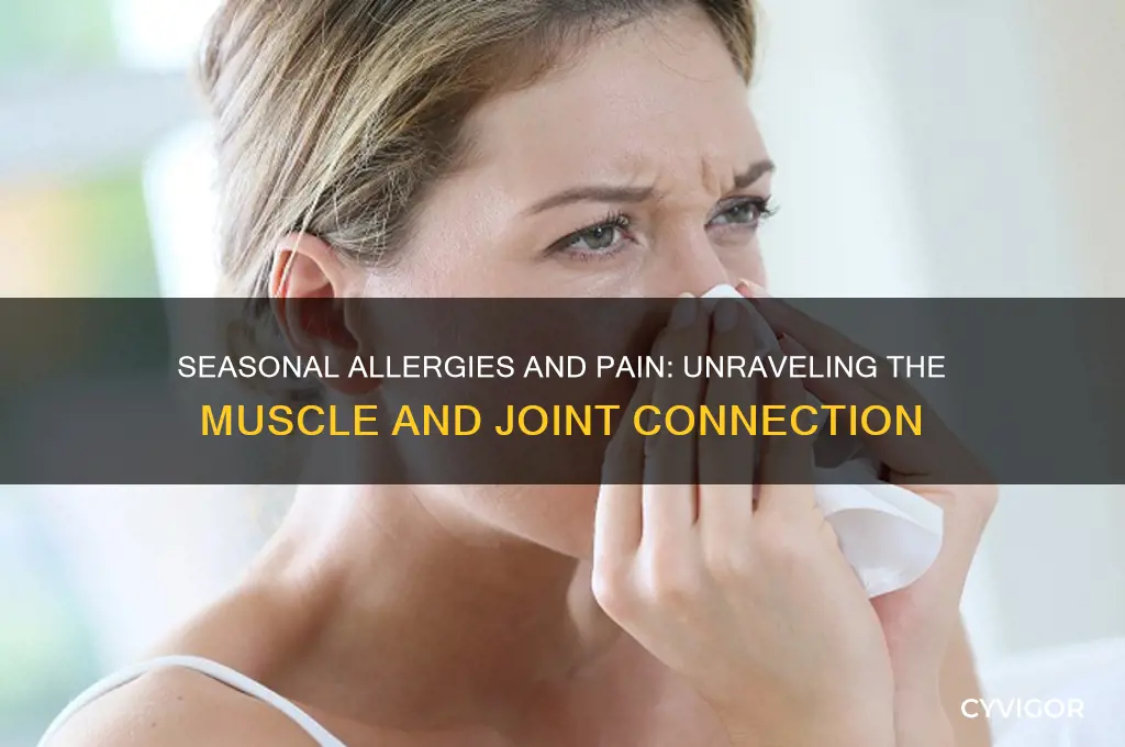 can seasonal allergies cause muscle and joint pain