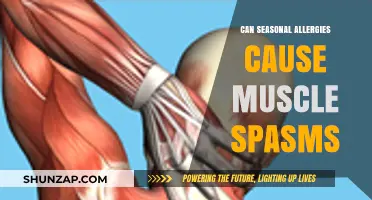 Seasonal Allergies and Muscle Spasms: Unraveling the Surprising Connection