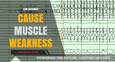 Seizures and Muscle Weakness: Understanding the Connection and Impact