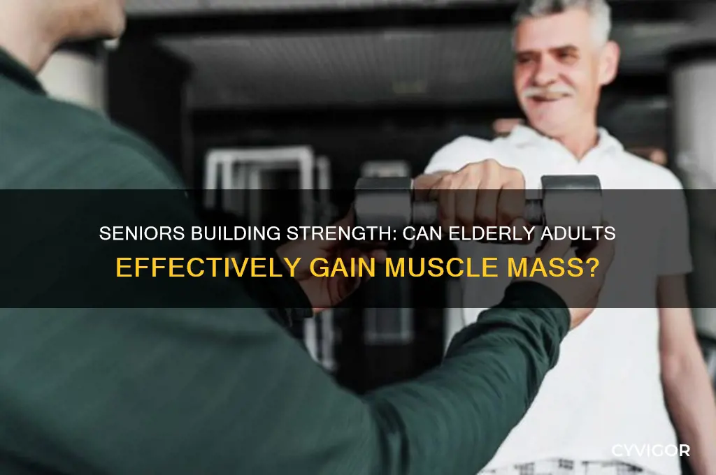 can senior citizens gain muscle mass