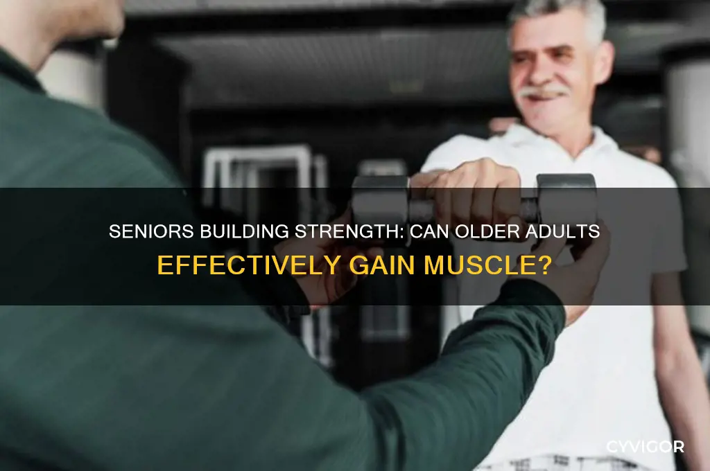 can seniors gain muscle