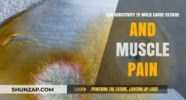 Mold Sensitivity: Uncovering Fatigue and Muscle Pain Connections