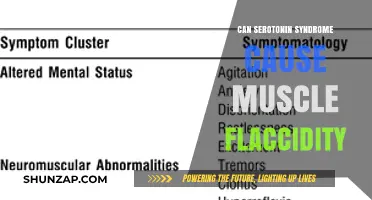 Serotonin Syndrome and Muscle Flaccidity: Unraveling the Connection