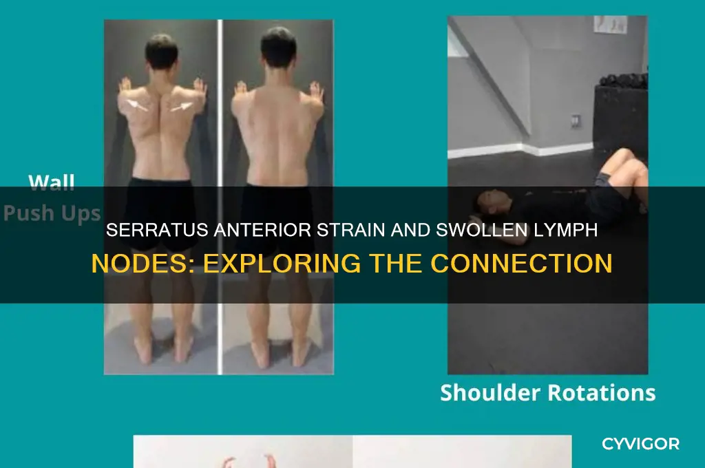 can serratus anterior muscle strain cause swollen lymph nodes