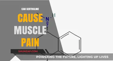 Sertraline and Muscle Pain: Understanding Potential Side Effects