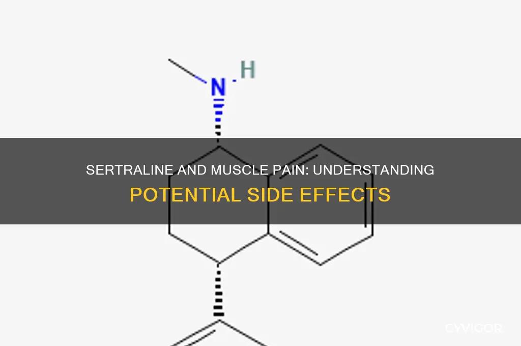 can sertraline cause muscle pain