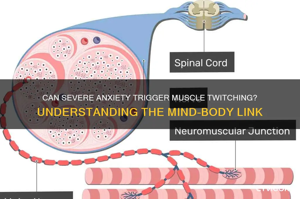 can severe anxiety cause muscle twitching
