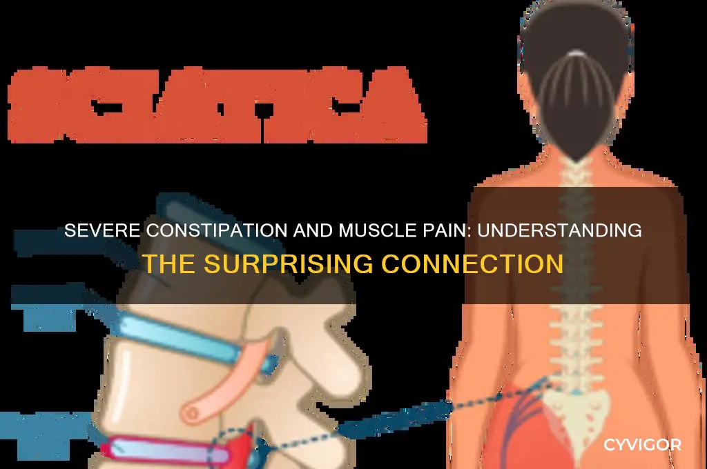 can severe constipation cause muscle pain