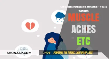 Severe Depression and Anxiety: Unraveling Physical Symptoms Like Vomiting and Muscle Aches