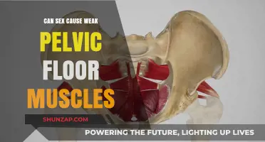 Does Sexual Activity Weaken Pelvic Floor Muscles? Facts and Myths