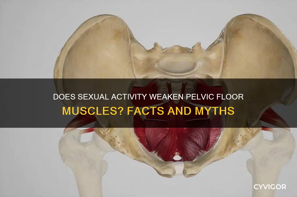 can sex cause weak pelvic floor muscles