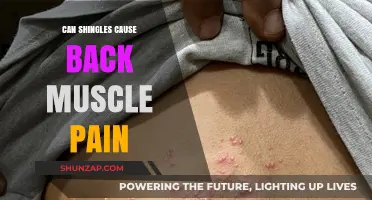 Can Shingles Trigger Back Muscle Pain? Understanding the Connection