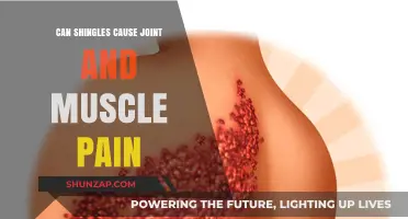 Shingles and Joint Pain: Understanding Muscle Discomfort After Outbreaks
