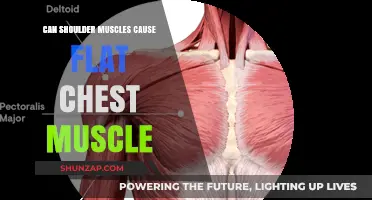 Shoulder Muscles and Flat Chest: Unraveling the Connection