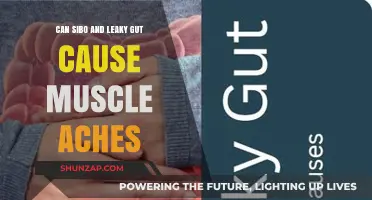 SIBO, Leaky Gut, and Muscle Aches: Unraveling the Connection