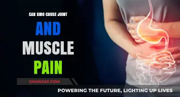 Can SIBO Trigger Joint and Muscle Pain? Exploring the Link