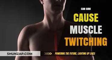 Can SIBO Cause Muscle Twitching? Exploring the Gut-Muscle Connection