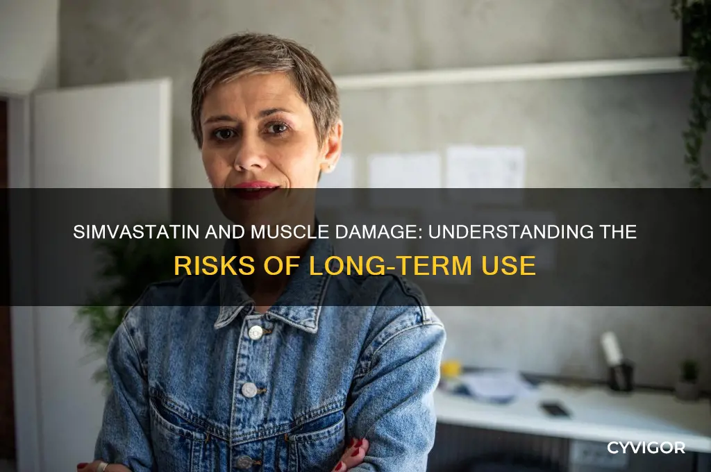can simvastatin cause permanent muscle damage