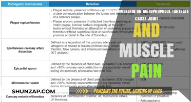 Simvastatin vs. Metoprolol Tartrate: Link to Joint and Muscle Pain?