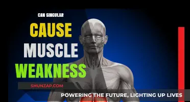 Can Singular Cause Muscle Weakness? Exploring the Surprising Connection