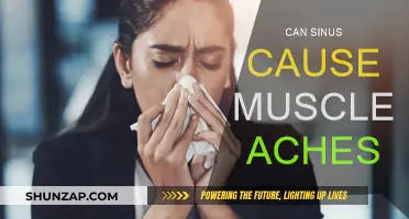 Sinus and Muscle Aches: What's the Connection?