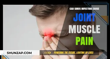 Sinus Infections and Joint Muscle Pain: Uncovering the Surprising Connection