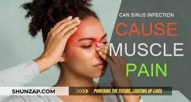 Sinus Infections: Can They Cause Muscle Pain?