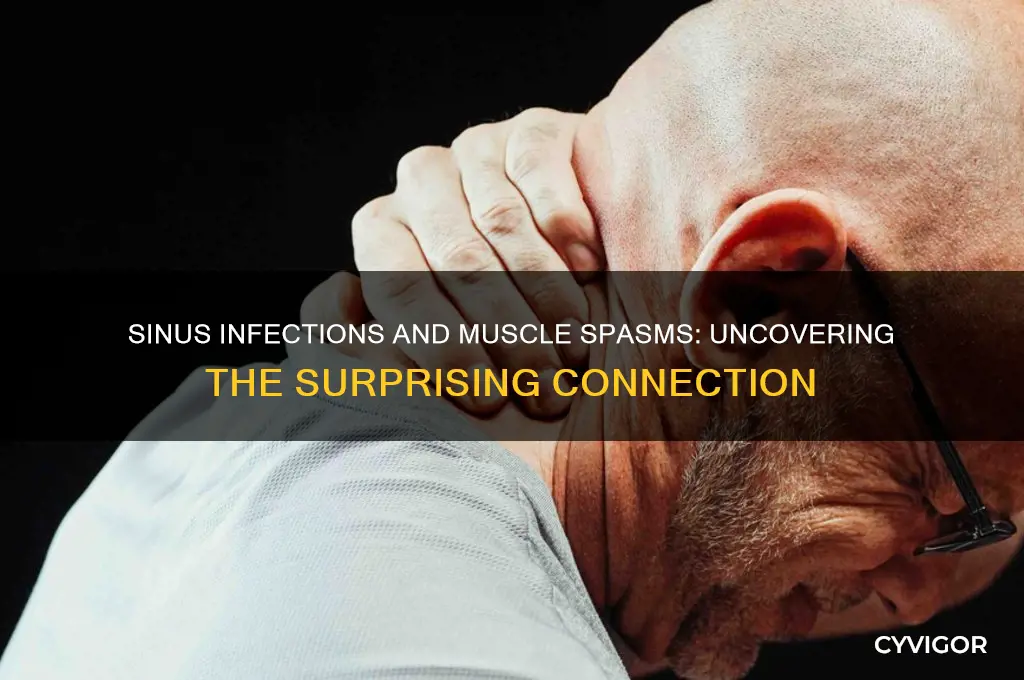 can sinus infection cause muscle spasms