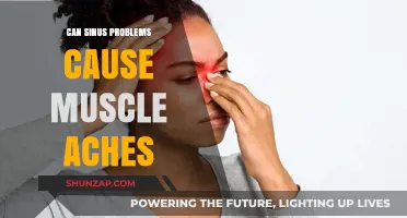 Sinus Issues and Muscle Pain: Uncovering the Surprising Connection