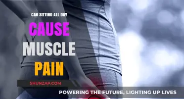 Sitting All Day: Uncovering the Link to Muscle Pain and Discomfort