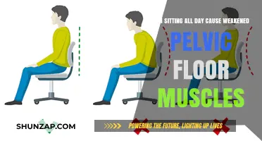 Sitting All Day: Impact on Pelvic Floor Muscle Strength Explained