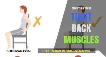 Sitting and Back Pain: How Posture Affects Muscle Tightness