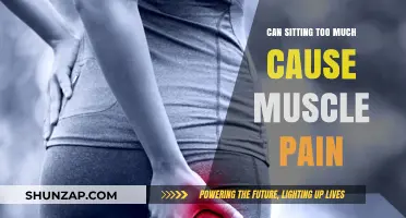 Sitting Too Much: Uncovering the Link to Muscle Pain and Discomfort
